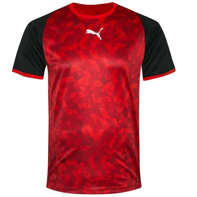 Produktbild von L|PUMA Herren Handball Trikot 764583-02