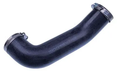 Image de EBG Durite d'air de suralimentation Opel Renault 144604669R