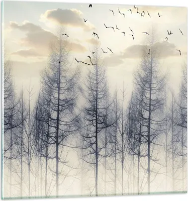 Produktbild von Bilder auf glas - Einteilig - Bäume Vögel Himmel - 60x60cm - Glasbilder - Wandbilder - Bilder - zum Aufhängen bereit - Wanddekoration aus Glas - Glas Bilder - Wandbild auf Glas - GAC60x60-4546