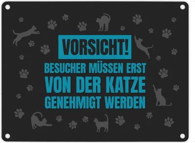 Produktbild von Besucher müssen erst von der Katze genehmigt werden Metallschild in grau-blau