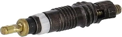 Obrázok produktu pre Jadro ventilu Schwalbe SV V002, Record, čierne