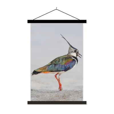 Produktbild von MuchoWow® Textilposter Vogel - Tiere - Sand - Kiebitz 120x180 cm mit schwarzem Rahmen - Fotos