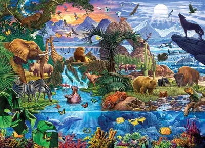 Zdjęcie produktu dla Puzzle 5000 Earth Wildlife 8520-5881