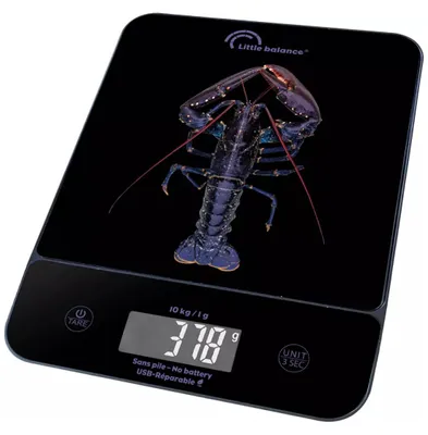 Image de 10kg/1g.chgt Usb.genius Homard. - Little Balance