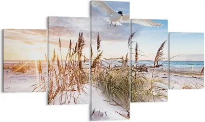 Produktbild von Bild auf Leinwand - Leinwandbild - 5 Teile - Möwe Meer Küste - 125x70cm - Wand Bild - Wanddeko - Wandbilder - Leinwanddruck - Bilder - Wanddekoration - Leinwand bilder - Wandbild - EA125x70-4902