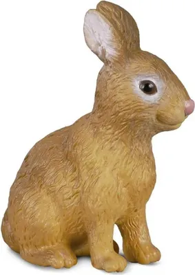 Zdjęcie produktu dla Królik COLLECTA