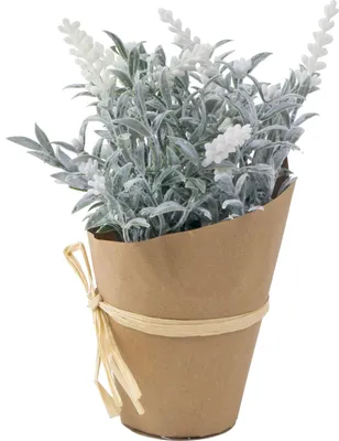 Produktbild von Künstlicher Lavendel mit Übertopf 22cm Kunstblume Kunstpflanze Lavendelbusch, Farbe:weiss