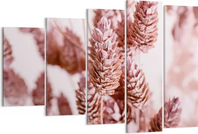 Produktbild von Bild auf Leinwand - Leinwandbild - 5 Teile - Getrocknet Blume Eco - 150x100cm - Wand Bild - Wanddeko - Wandbilder - Leinwanddruck - Bilder - Wanddekoration - Leinwand bilder - EG150x100-4912