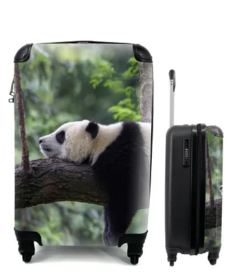 Produktbild von MuchoWow® Koffer Handgepäck Trolley Rollkoffer Kleine Reisekoffer mit 4 Rollen - Panda - Baum - Tiere - Natur - Cabin Size < 55x40x23 cm & 55x40x20 cm - Fotokoffer - Kabinenkoffer - Boardgepäck - Reise-Box - Reisekoffer - Reisegepäck - Koffer mit Bild - Trolley für Kinder