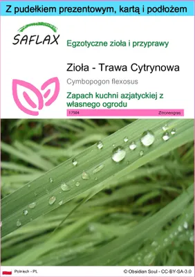 Zdjęcie produktu dla SAFLAX - Zestaw prezentowy - Zioła - Trawa Cytrynowa - 50 Nasiona - Z pudełkiem upominkowym, etykietą wysyłkową, kartą podarunkową i podłożem uprawowym - Cymbopogon flexosus