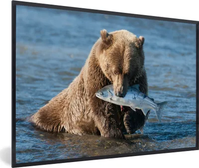 Produktbild von MuchoWow® MuchoWow® Gerahmtes Poster Bär - Braun - Fisch 30x20 cm - Poster mit zchwarzem Bilderrahmen - Kunstdruck - Bild-Poster