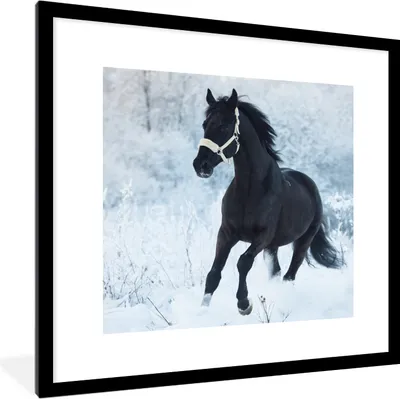 Produktbild von MuchoWow® Gerahmtes Poster Pferd - Schnee - Wald 40x40 cm - Poster mit Schwarzem Bilderrahmen Wandposter Rahmen Foto Bilder - Poster - Plakat im Rahmen