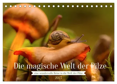 Produktbild von Die magische Welt der Pilze (Tischkalender 2027 DIN A5 quer), CALVENDO Monatskalender