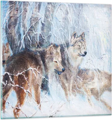 Produktbild von Bilder auf glas - Wolf Tier Wald - 40x40cm - Glasbilder - Wandbilder - Kunstdruck - zum Aufhängen bereit - Wanddekoration aus Glas - Glas Bilder - Wandbild auf Glas - Einteilig - GAC40x40-3770