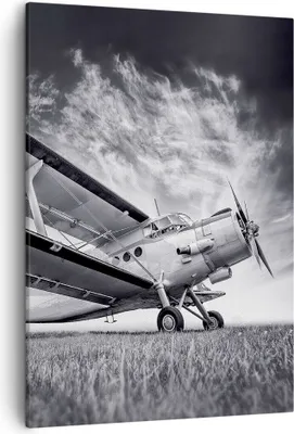 Produktbild von Bild auf Leinwand - Leinwandbild - Einteilig - Flugzeug An-2 Schwarzweiß - 50x70cm - Wand Bild - Wanddeko - Wandbilder - Leinwanddruck - Wanddekoration - Leinwand bilder - Wandbild - PA50x70-4363