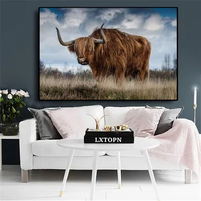 Leinwandbild Highland Cow 50x75cm, modern, ohne Rahmen