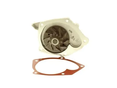 Produktbild von AISIN Kühlmittelpumpe Wasserpumpe für RENAULT Clio III Schrägheck (BR0/1, CR0/1) WE-RE01B