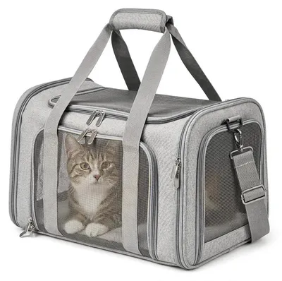 Immagine prodotto di Zaino per trasportare gatti e cani di piccola taglia, fino a 5 kg, traspirante, colore grigio, taglia L