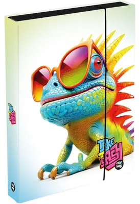 Immagine prodotto di OXYBAG Jumbo Chameleon Arbeitsbuchbox, A4