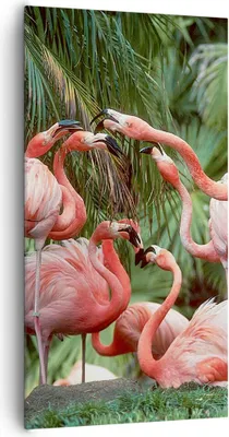 Produktbild von Bild auf Leinwand - Leinwandbild - Einteilig - Palmen Herde Flamingos - 65x120cm - Wand Bild - Wanddeko - Wandbilder - Leinwanddruck - Bilder - Wanddekoration - Leinwand bilder - PA65x120-4804
