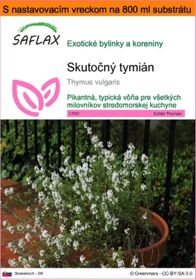 Obrázok produktu pre SAFLAX Garden in the bag - Skutočný tymián - Thymus vulgaris - 200 Semená - S pestovateľským substrátom v praktickom samostaviteľnom vrecku