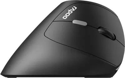 Produktbild von Kabellose Maus RAPOO EV250, Ergonomisch, 1600 DPI, Leise Klicks, Beidhändig, 10m Reichweite