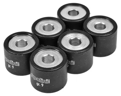 Produktbild von Variomatikgewichte Polini 19 x 17 mm 10,0 g Satz 6 Variorollen