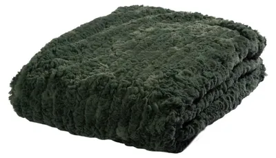 Produktbild von Wohndecke - 150 x 200 cm - Grün - Polyester - in Flauschoptik