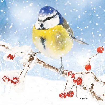 Produktbild von 20 Servietten Oiseau glacé - Blaumeise im Schneefall 33x33cm
