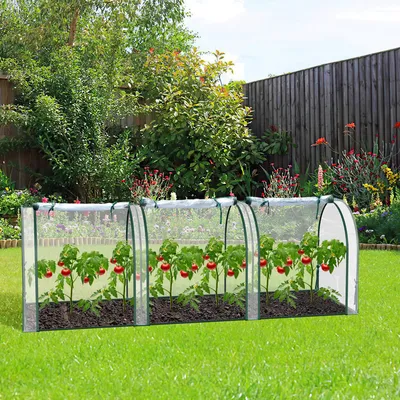 Immagine prodotto di Serra in plastica Hengda, serra, serra con porta, semenzaio, serra per piante, serra per pomodori, plastica, acciaio, trasparente, 270 x 90 x 90 cm