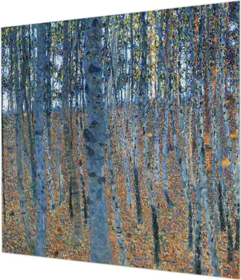 Produktbild von Wandtapete - Dekorative Tapete für Wohnzimmer - Tapetenfolie für Wanddekoration - 250x250 cm - Birkenwald
