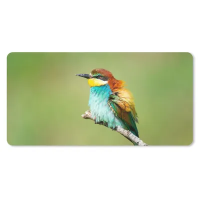 Produktbild von MuchoWow® Schreibtischunterlage Vogel - Tiere - Bienenfresser 80x40 cm - XXL Mauspad - Gaming Mauspad