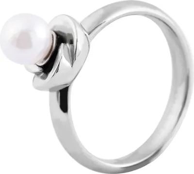 Produktbild von Akzent Damen-Ring aus Edelstahl