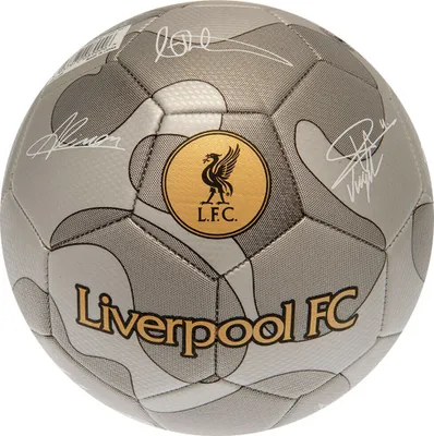Obrázek produktu pro Liverpool FC - Fotbalové maskáče TA11229 (5) (stříbrná/šedá)