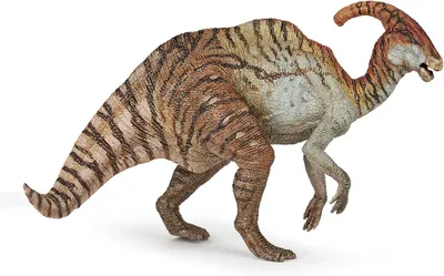 A model of a Parasaurolophus dinosaur.