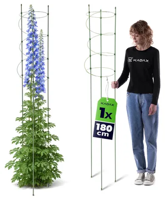 Zdjęcie produktu dla KADAX Podpora do bylin 180 cm, 1 sztuka, podpórka do kwiatów z powlekanego metalu, spirala do pnączy, bylin, kwiatów i wysokich roślin ogrodowych, podpórka do pomidorów