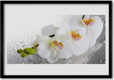 Produktbild von Bild 70x50 MDF-Rahmen Wandkunst Blumen Pflanzen Natur