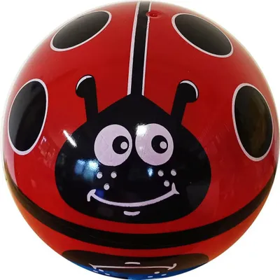 Produktbild von Motivball Marienkaefer