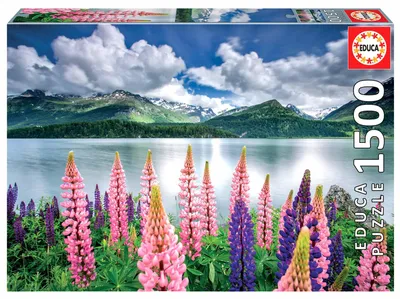 Obrázek produktu pro Puzzle Educa Krajina s horami a květy lupin 1500 dílků