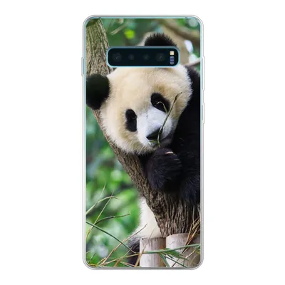 Produktbild von MuchoWow® Handyhülle Schutzhülle Hülle für Samsung Galaxy S10 Plus Panda - Tiere - Dschungel - Natur Silikon Softcase Handy Hülle - Schutzhülle