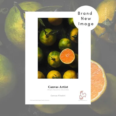 Image de Hahnemühle Canvas Artist mat blanc naturel, 340 g, 91,5 cm x 12 m
