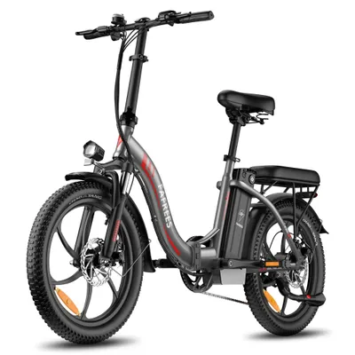 Produktbild von FAFREES F20 Elektrisches Fahrrad - Motor 250W Akku 36V18Ah 20'' Scheibenbremsen - Grau