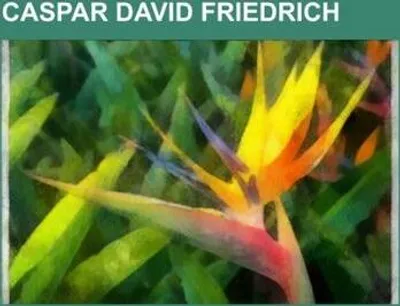Produktbild von Caspar David Friedrich