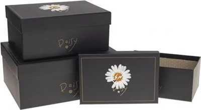 Obrázek produktu pro Sada krabiček Daisy (3 ks)