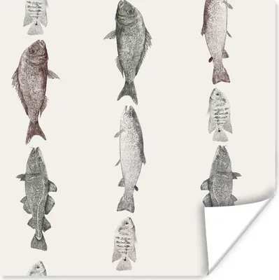 Produktbild von MuchoWow® Poster Vintage Illustration einer Reihe von Fischen 100x100 cm - Babyzimmer