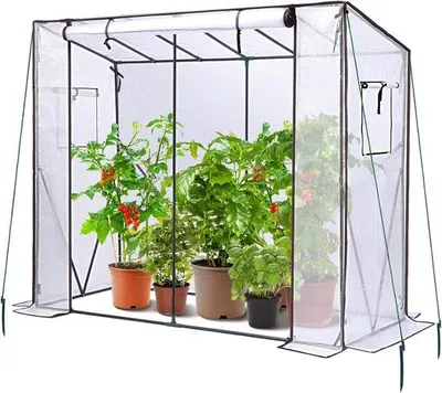 Produktbild von Famanu Tomatenhaus mit PE-Abdeckung und Fenster - 200 x 77 x 170 cm