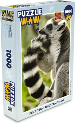Obrázek produktu pro MuchoWow MuchoWow® Puzzle 1000 ks Opice - Zvíře - Lemur kroužkovaný