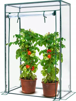 Obrázek produktu pro KANWOD skleník se srolovatelnými dveřmi, průhledná fólie 140 g/m2, 150 x 100 x 50 cm