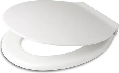 A white toilet seat and lid, shown from a slightly elevated side angle.