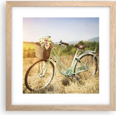 Produktbild von Gerahmtes Poster - Rahmen in heller Eiche - Fahrrad Wiese Blumen - 30x30 cm - Wand Bild - Wanddeko - Wandbilder - Wandposter - Bilderrahmen - Bilder - Kunstdruck - Wandbild - P2NAC30x30-4206